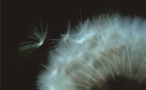 25092012125334_sm_2733