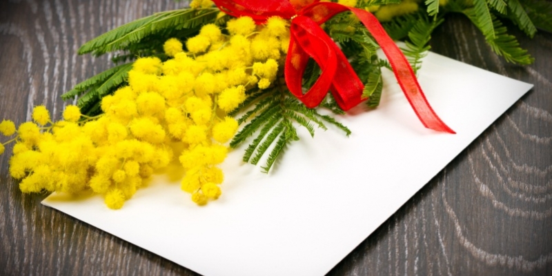 8 Marzo. Aforismi e frasi d'autore per la Festa della Donna