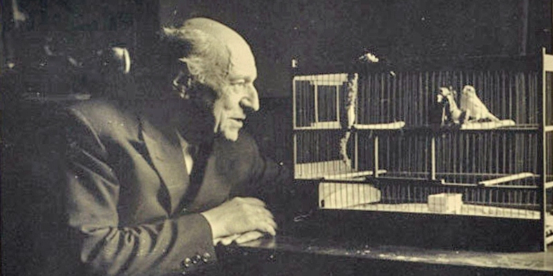 Umberto Saba, le poesie più belle