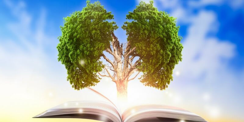I libri da leggere che trattano la questione ambientale