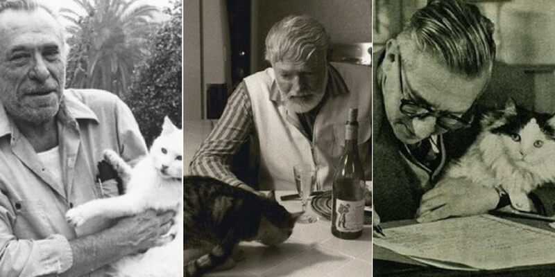 Scrittori e gatti, da Baudelaire a Bukowski