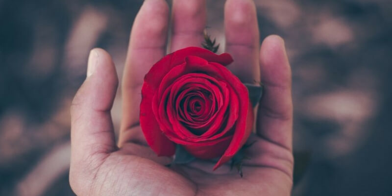 La fuga d'amore di Elio Vittorini e Rosa Quasimodo