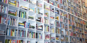 5 consigli per sopravvivere all accumulo di libri in casa
