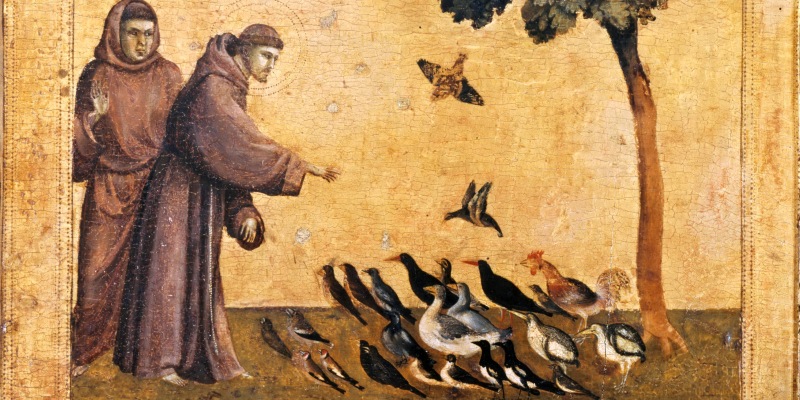 San Francesco d'Assisi, il Santo che continua a rivoluzionare la Chiesa