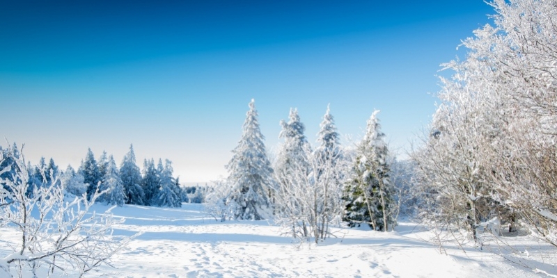Gli aforismi più celebri dedicati all'inverno