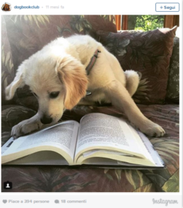 Gli account Instagram che stanno facendo impazzire chi ama i cani e la lettura