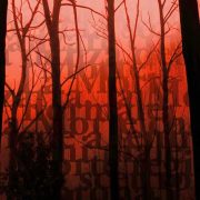 Le frasi e gli aforismi più paurosi della letteratura 2 Halloween, le frasi più paurose per la notte delle streghe