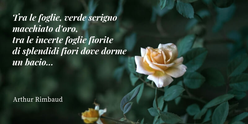 Arthur Rimbaud, le poesie più belle