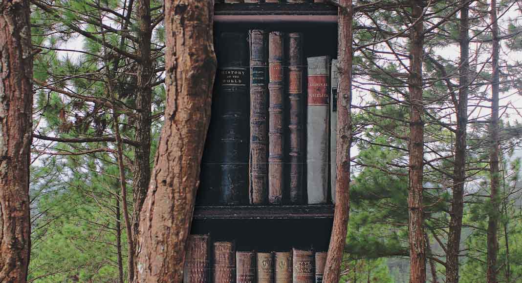 Tronchi d’albero diventano librerie a cielo aperto