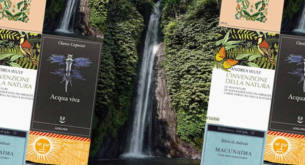 Amazzonia 7 libri conoscere capire terra