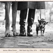“Elliott Erwitt. Family”, 60 scatti del fotografo americano in mostra a Milano 2 copertina-erwitt