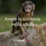 Avere la scimmia sulla spalla, l'origine del singolare modo di dire