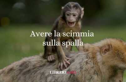 &Amp;Quot;Avere La Scimmia Sulla Spalla&Amp;Quot;, L'Origine Del Singolare Modo Di Dire 52 Avere la scimmia sulla spalla, l'origine del singolare modo di dire