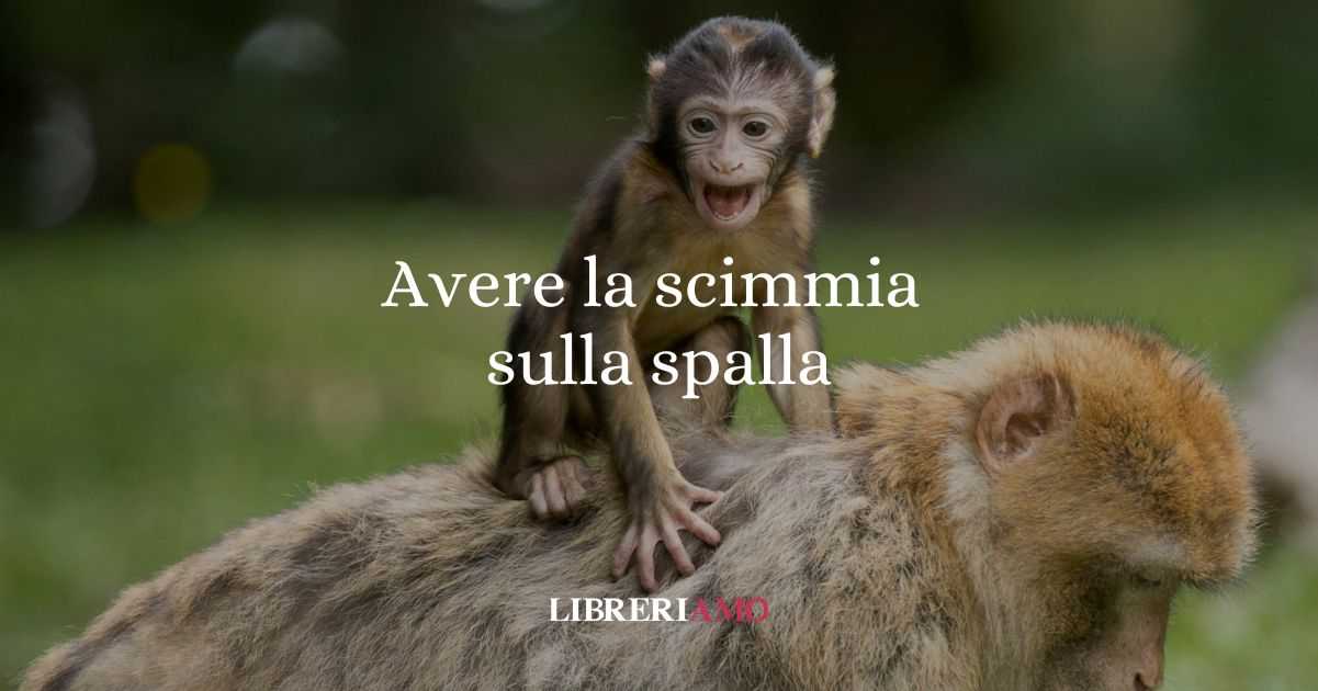 Avere la scimmia sulla spalla, l'origine del singolare modo di dire