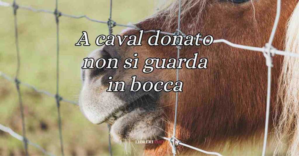 A caval donato non si guarda in bocca, origine e significato del modo di dire