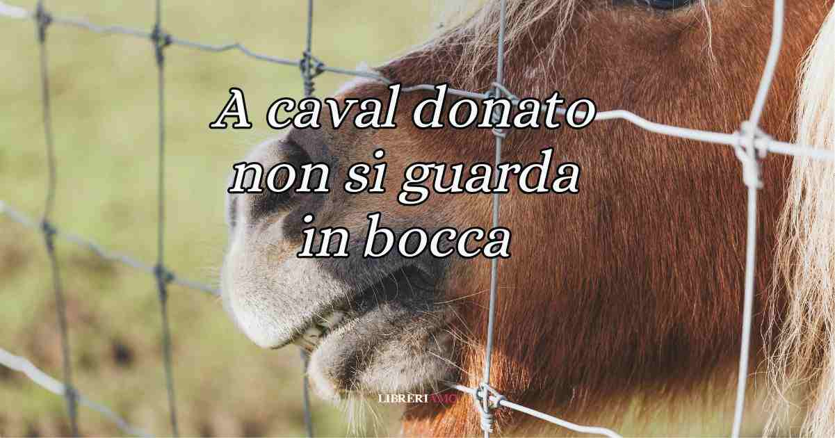 A caval donato non si guarda in bocca, origine e significato del modo di dire