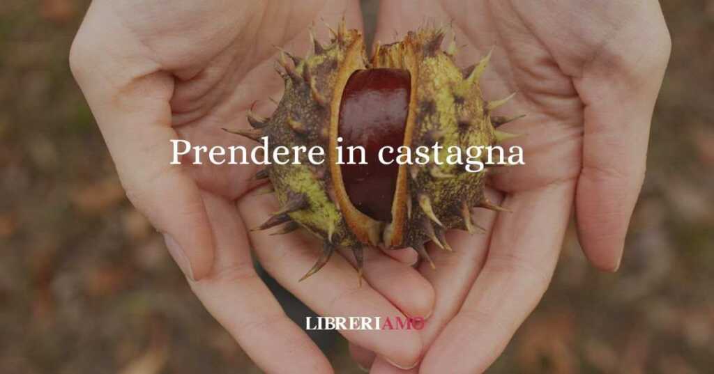 Prendere in castagna, l'origine del modo di dire che in pochi sanno