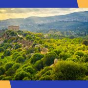 Ripartire dai libri, nasce una nuova casa editrice ad Agrigento 5 Accurso-Tagano-Editore