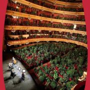 Barcellona, il concerto del teatro dell'opera davanti a migliaia di piante 2 concerto-piante