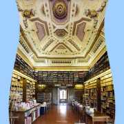 Accademia della Crusca, le 15 nuove parole per raccontare il 2020 2 accademia-crusca