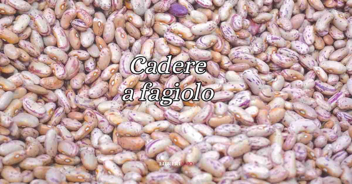 Cadere a fagiolo, origine e significato del modo di dire usato da tutti