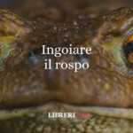 "Ingoiare il rospo", origine e significato del celebre modo di dire 48 Ingoiare il rospo, origine e significato del celebre modo di dire