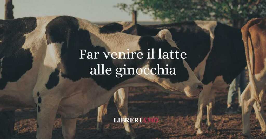 Far venire il latte alle ginocchia, origine e significato del modo di dire