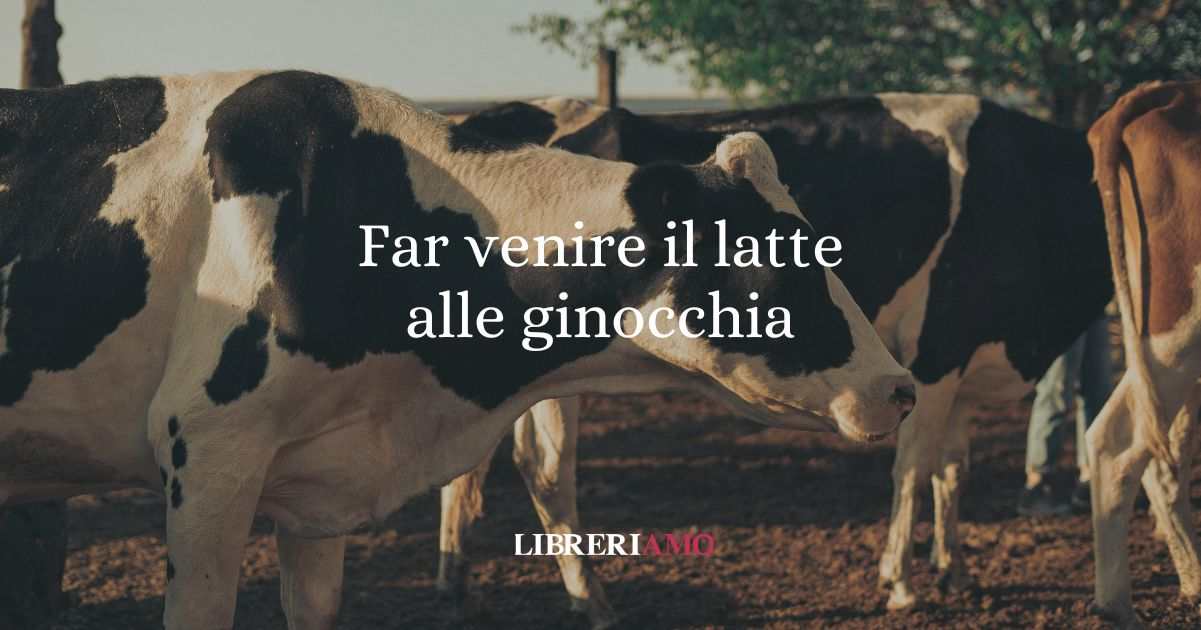Far venire il latte alle ginocchia, origine e significato del modo di dire