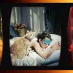 I 5 film più famosi con protagonisti i gatti