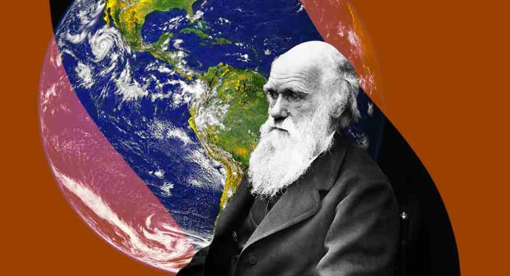 Perché si celebra oggi il Darwin Day: gli appuntamenti principali