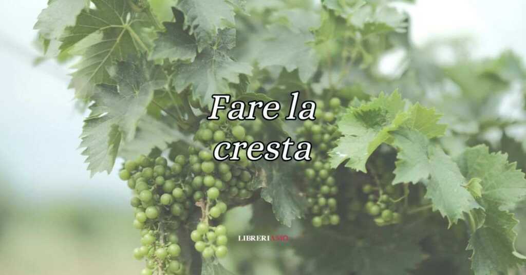 Fare la cresta, significato e origine del modo di dire bucolico