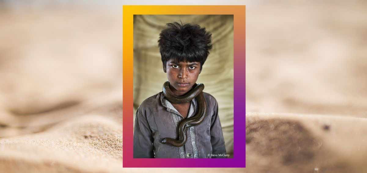 "Animals", la fotografia di Steve McCurry per salvare il mondo animale 2 "Animals", la fotografia di Steve McCurry per salvare il mondo animale