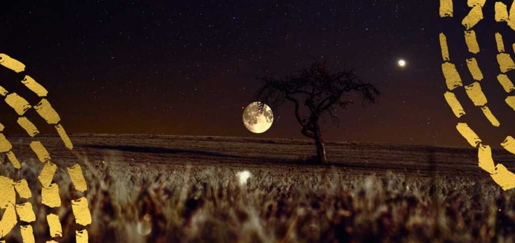 “Luna d’Agosto”, dolci ricordi e attimi di eternità nella poesia di José Hierro