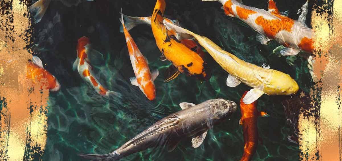 Herman Melville e la metafora del mare nella poesia “Noi pesci”