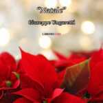 “Natale”, la toccante poesia di Giuseppe Ungaretti dedicata a chi soffre