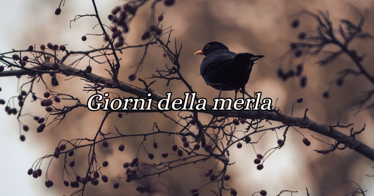 Il Detto Dei Giorni Della Merla “I giorni della merla”, origine e significato del modo di dire