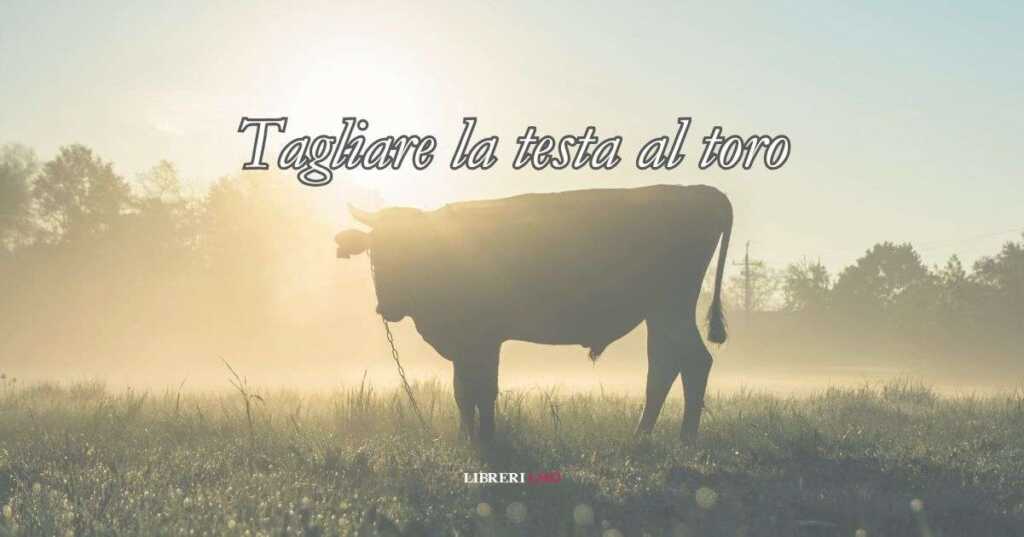 “Tagliare la testa al toro”, storia e significato del modo di dire