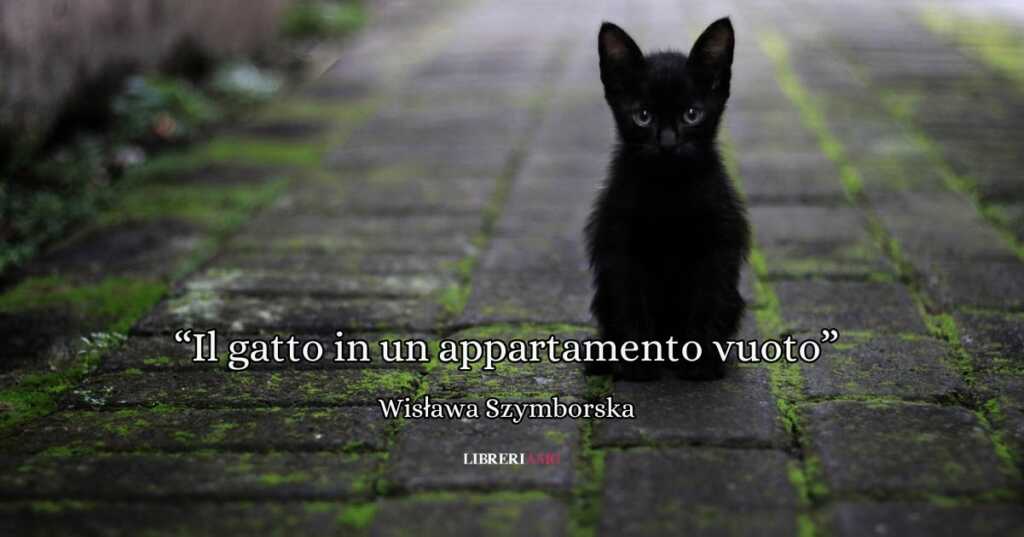 "Il gatto in un appartamento vuoto", la poesia da leggere quando si è nostalgici