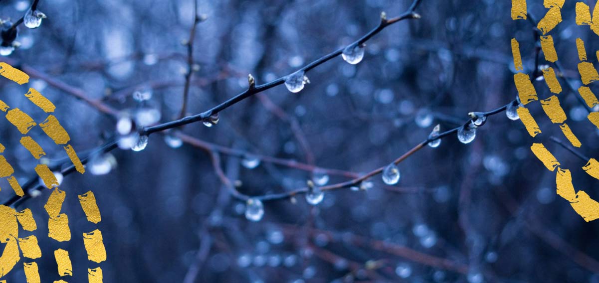 "La pioggia nel pineto" di D'Annunzio, sinfonie della natura e del cuore