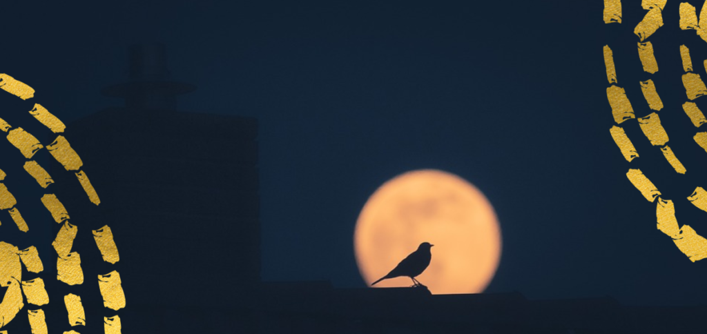 La luna come metafora dei nuovi inizi, un potente haiku di Mizuta Masahide