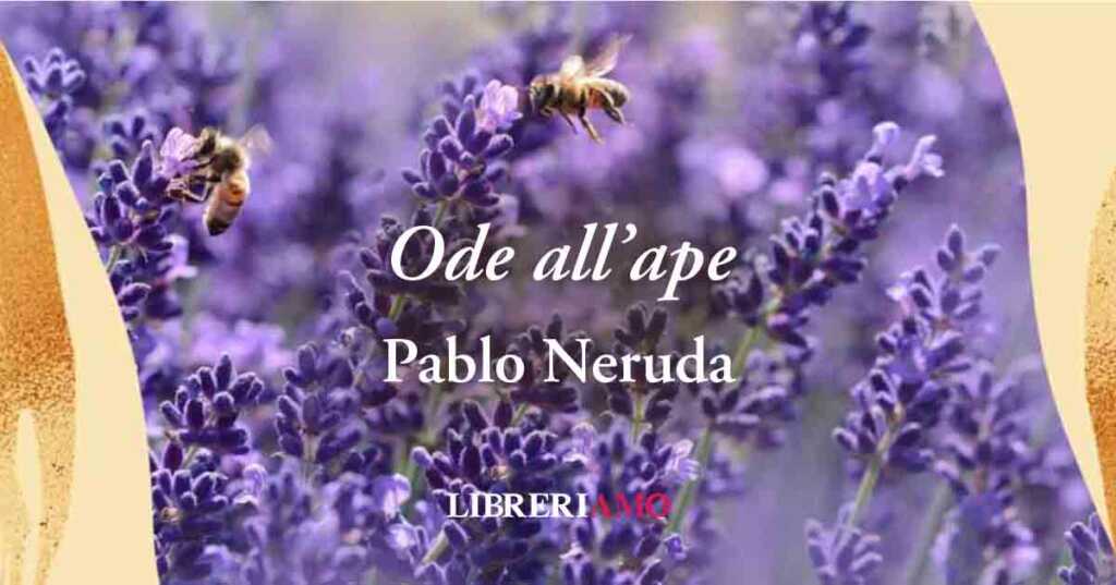 "Ode all'ape" (1954), la poesia di Pablo Neruda che celebra gli insetti della vita