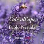 "Ode all'ape" (1954), la poesia di Pablo Neruda che celebra gli insetti della vita