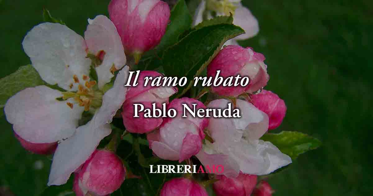 Il ramo rubato (1952) di Pablo Neruda, poesia sull'amore che merita libertà 6 Il ramo rubato (1952) di Pablo Neruda, poesia sull'amore che merita libertà