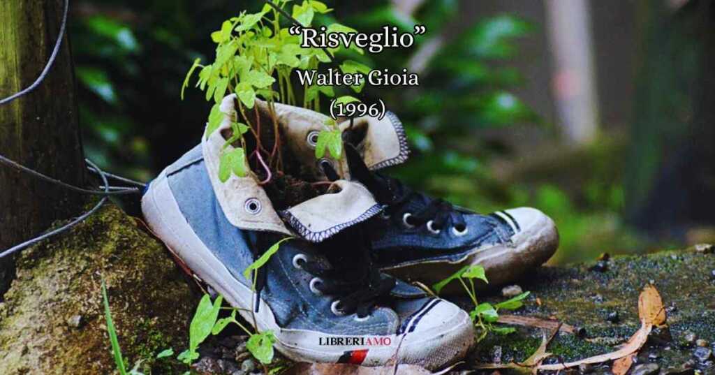"Risveglio" (1996) di Walter Gioia