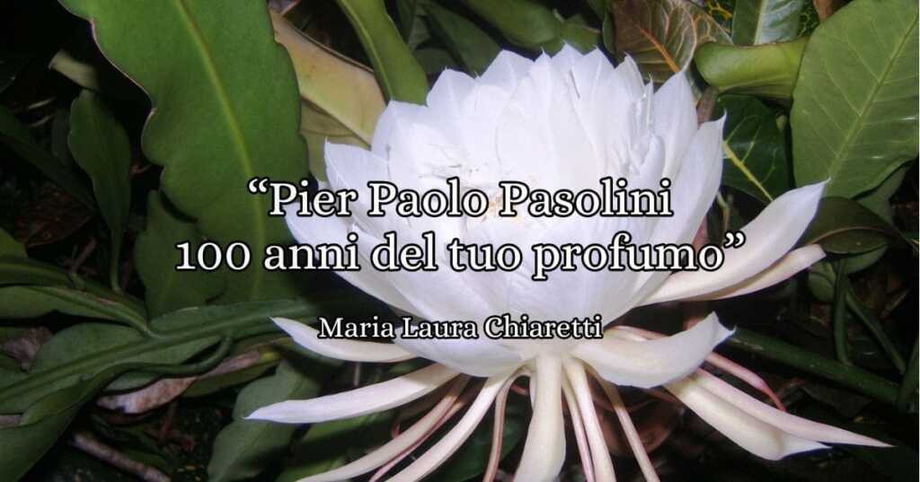 "Pier Paolo Pasolini 100 anni del tuo profumo", la poesia omaggio a Pasolini