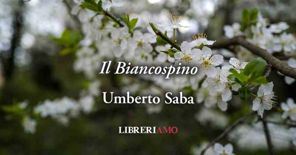 "Il Biancospino" di Umberto Saba: poesia che annuncia la primavera