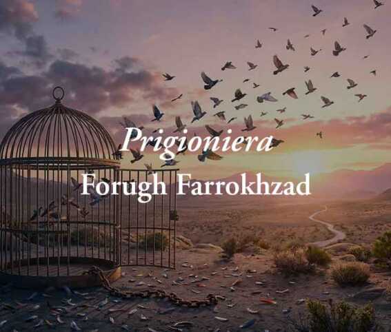 Prigioniera (1955) di Forugh Farrokhzad: il canto di una donna in cerca della libertà