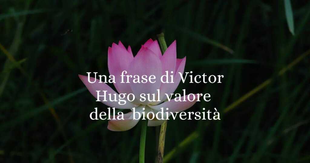 Una frase di Victor Hugo sul valore della natura e della biodiversità