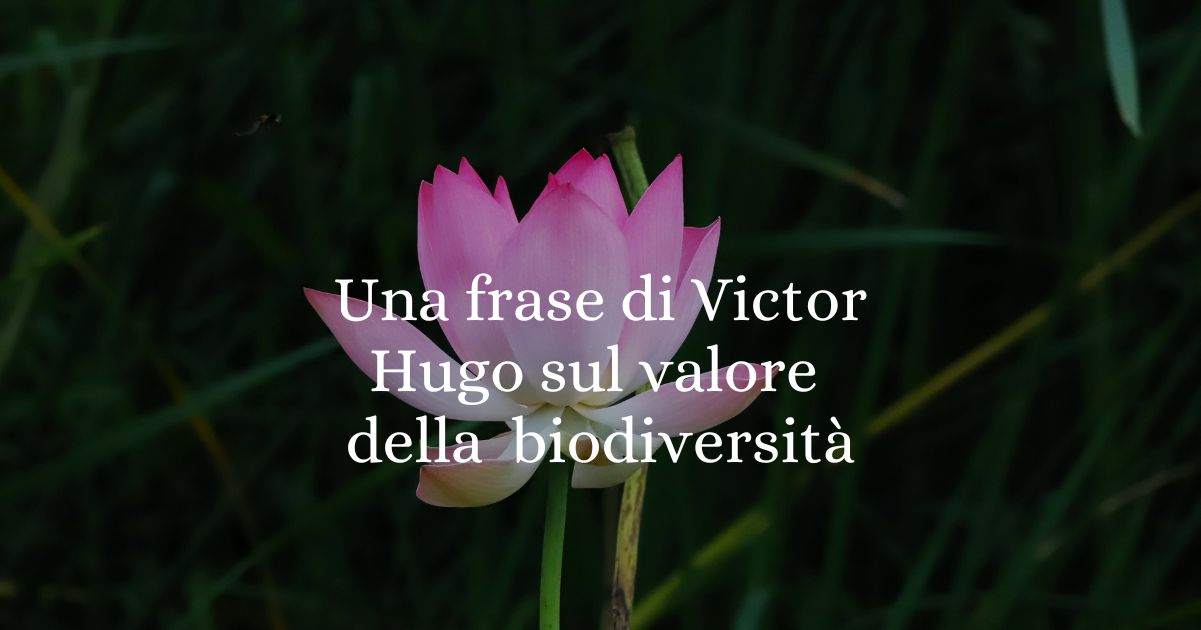 Una frase di Victor Hugo sul valore della natura e della biodiversità 5 Una frase di Victor Hugo sul valore della natura e della biodiversità