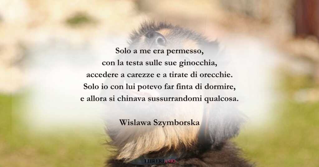 I versi di Wislawa Szymborska sulla fedeltà perenne dei cani